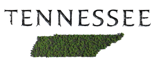 graphic of Tennessee state outlined in trees